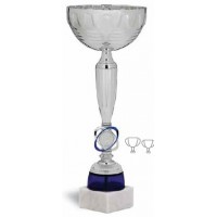 Pokal art. 171 , ekonomik